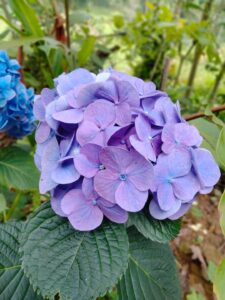 IMG 20221208 WA0022 225x300