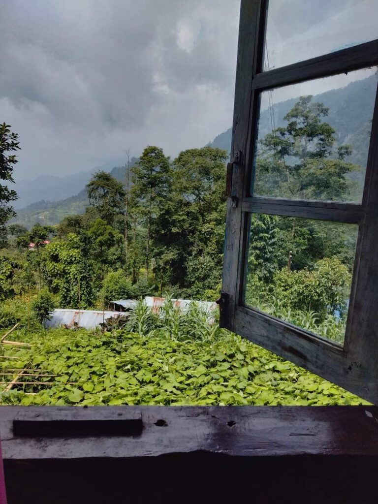 Website design for small business