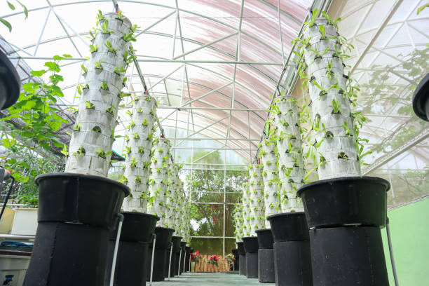 Aeroponic Towers for Farming in India
